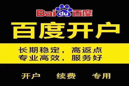 百度竞价推广运营案例解析：如何实现低成本高回报